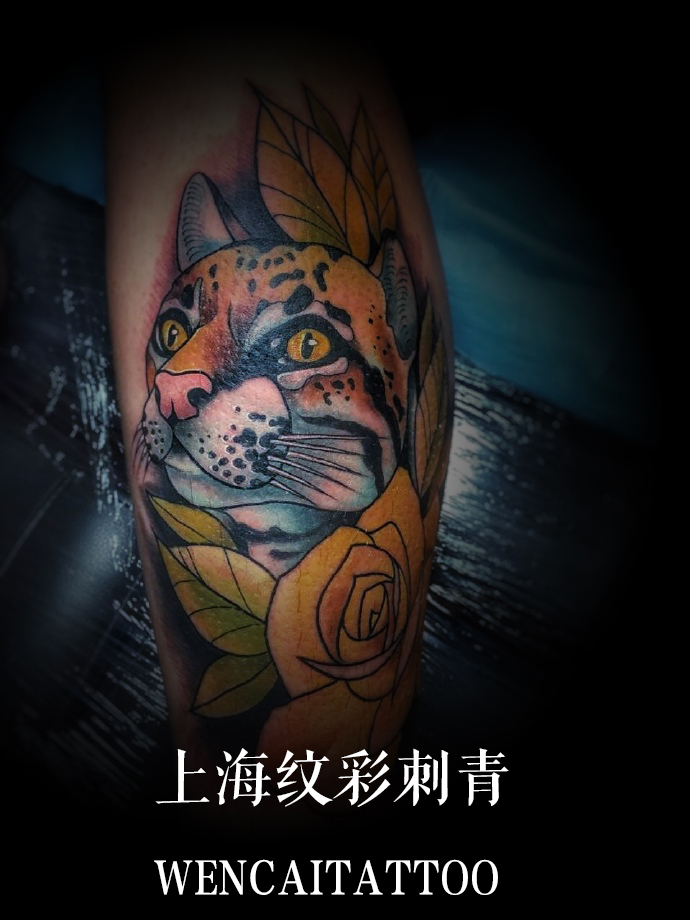 美丽的张小姐小腿彩色可爱猫头纹身