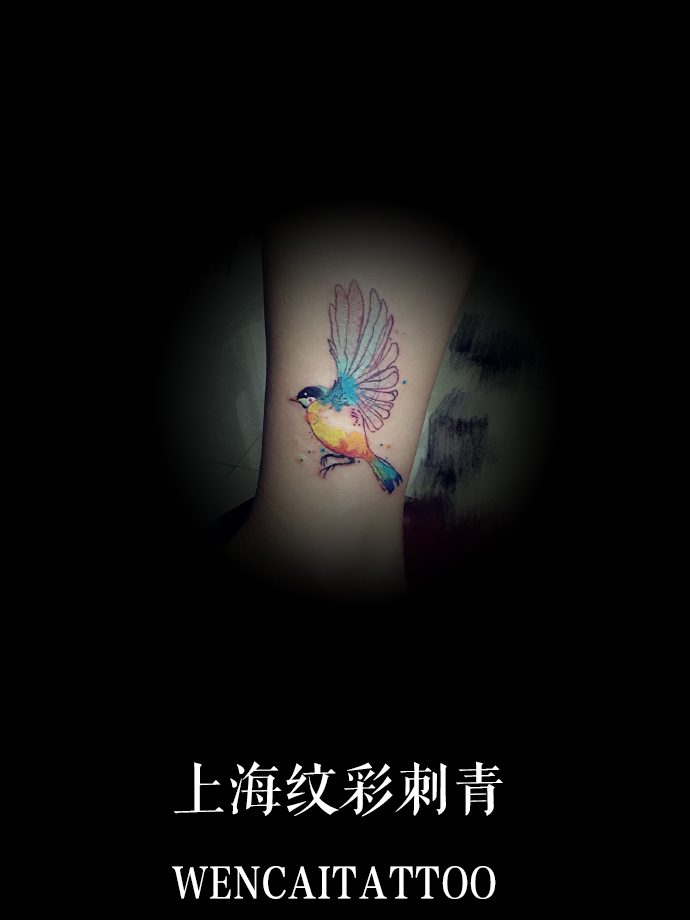成熟的温女士小腿彩色飞鸟纹身