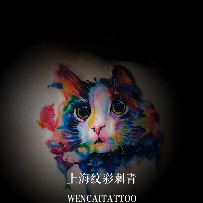 上海美丽的于小姐后背可爱小猫咪纹身图案