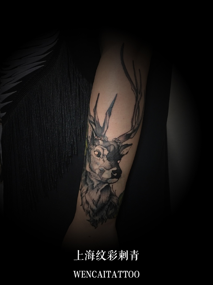 上海的余先生小臂大角鹿纹身图案
