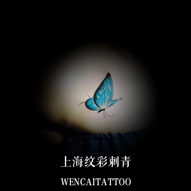 上海的杨小姐前胸美丽的蝴蝶纹身图案