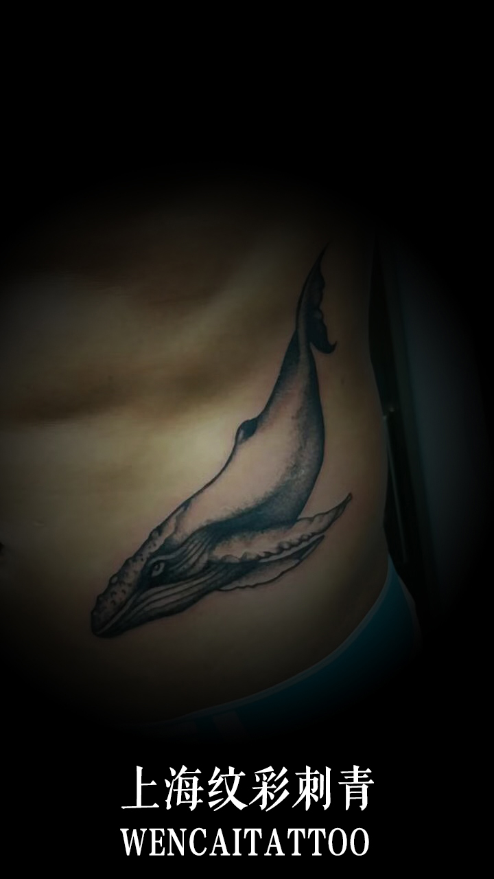 健身达人简先生肌肉侧腰上的鲸鱼纹身图案