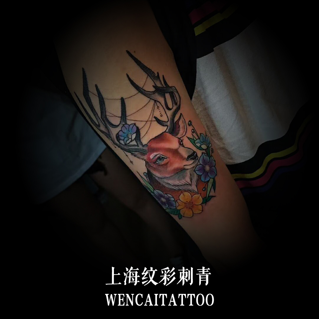 上海美丽的郭小姐小臂艺术小鹿纹身图案