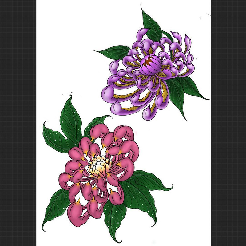 菊花纹身手稿